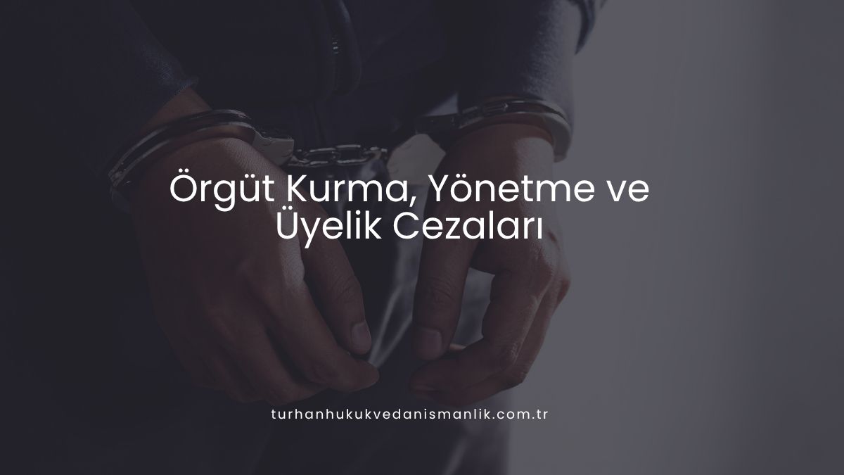 Örgüt Kurma, Yönetme ve Üyelik Cezaları