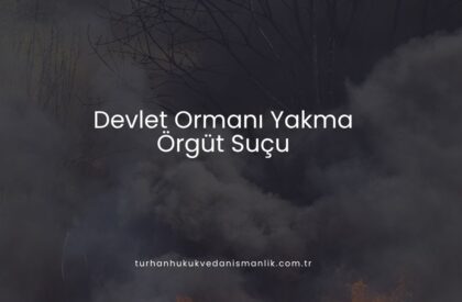 Devlet Ormanı Yakma Örgüt Suçu Devlet Ormanı Yakma Örgüt Suçu