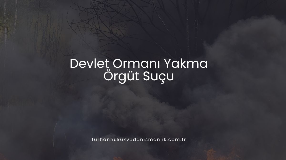 Devlet Ormanı Yakma Örgüt Suçu