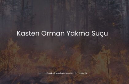 Kasten Orman Yakma Suçu Kasten Orman Yakma Suçu